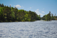 Klicka här för fler bilder!