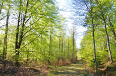 Klicka här för fler bilder!