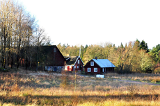 Klicka här för fler bilder!