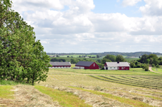 Klicka här för fler bilder!