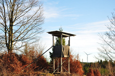 Klicka här för fler bilder!