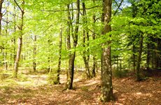 Klicka här för fler bilder!