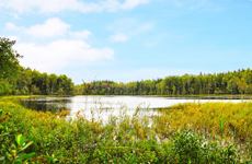 Klicka här för fler bilder!