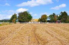 Klicka här för fler bilder!